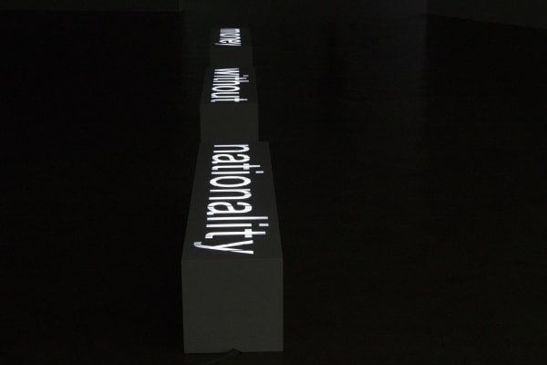 Fahrettin Orenli, Money Without Nationality II, 2017