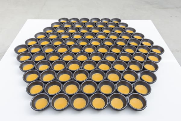 Osman Dinc, Elbow Grease of Bee, 2017