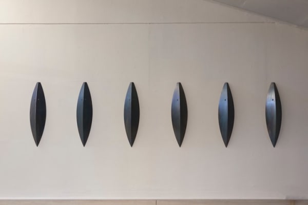 Osman Dinc, shield, 2012