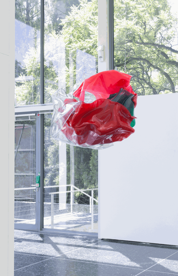 Paul Schwer, Big bao, 2012