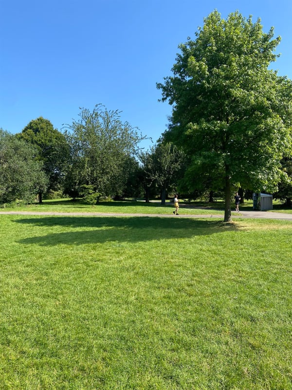 Frieze Sculpture Park