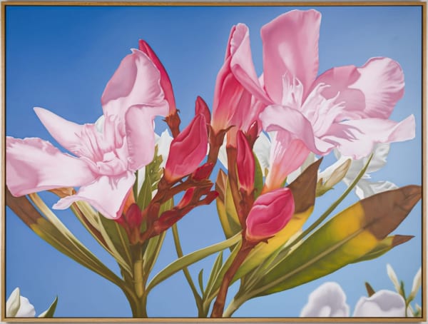 Mustafa Hulusi Mustafa Hulusi Cyprus Realism (Oleander 3) 2019 Oil on canvas 153 x 204 cm