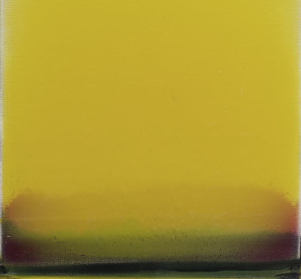 Nejat Satı Wild Flowers