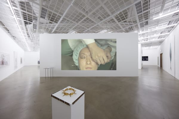 Installation view of The Emotion of Land, THE CUT by Post Cosmetic, at the exhibition‘Money Without Nationality’ Art Sonje Center, 2017,[the exhibition space under normal light condition] https://vimeo.com/187520217