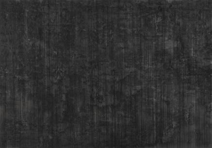 Untitled, 2013. Graphite and silver drawing on canvas. 200 x 180 cm.