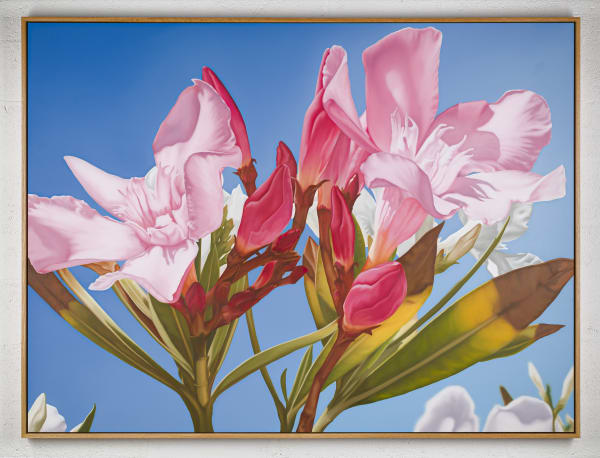 Mustafa Hulusi Oleander 3 2019 oil on canvas 152.4 x 203.2 cm