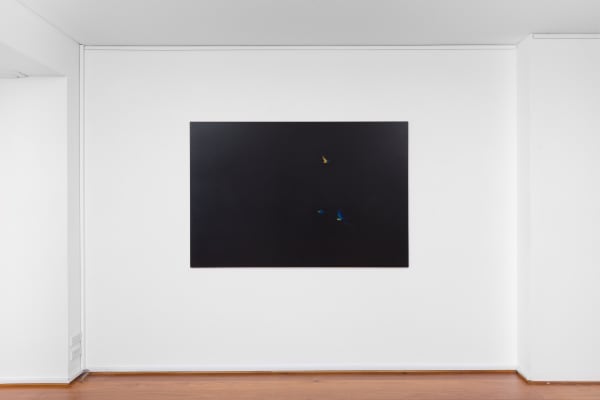 install shot: Matthew Kentmann Blue & Gold