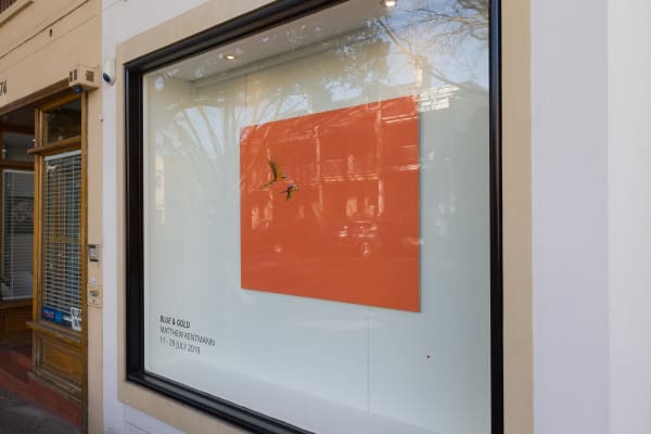 install shot: Matthew Kentmann Blue & Gold