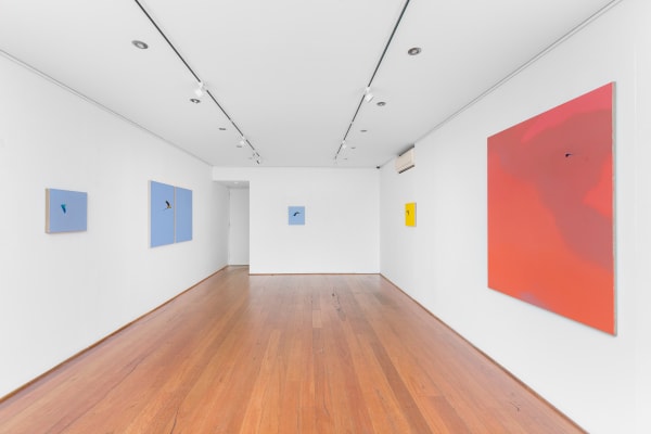 install shot: Matthew Kentmann Blue & Gold