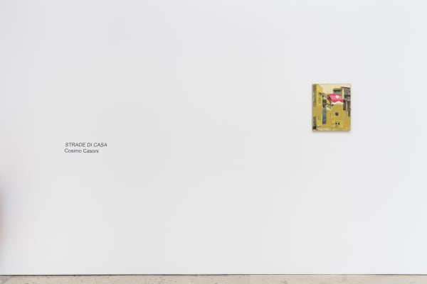 Cosimo 2400Px 20250507 1059