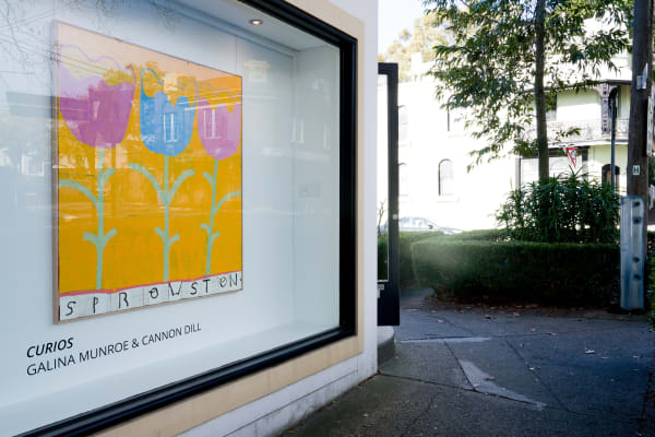 Curios 24Mp 20210728 1232