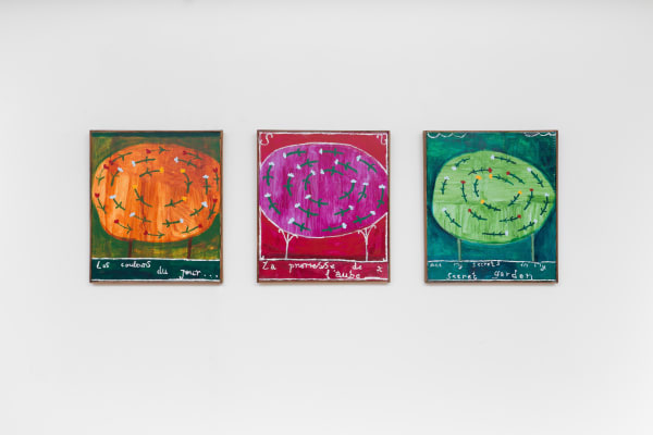 Curios 24Mp 20210728 1243