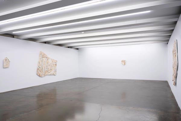 3392E33B 0D36 4A86 Bdae 66D8Fb63D80C