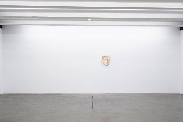 95Db2Bdc 52D8 45D0 879C Aea17158057C