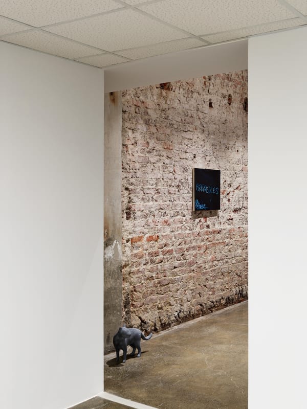 Pilevneligallery Ryangander 113288