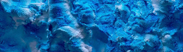 Refİk Anadol Bosphorus, 2018