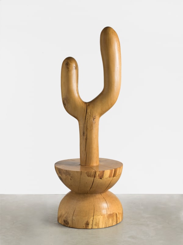 Claudia Comte Aloys, 2017