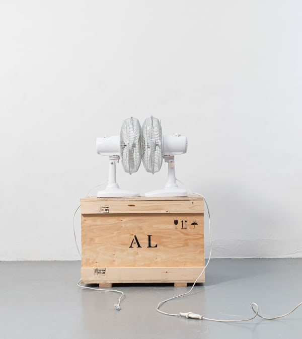 ARIK LEVY MUTUALAIR, 2019