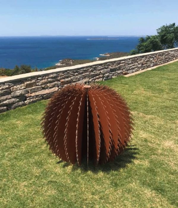 Tayfun Serttaş CACTOIDEAE vol.1, 2021