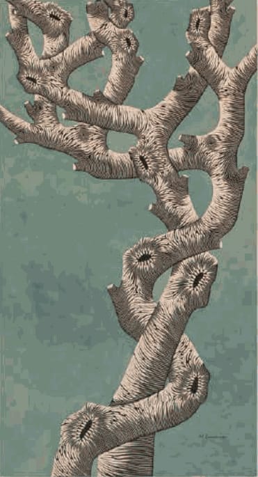 ZOÉ OUVRIER SUSIE VERDE