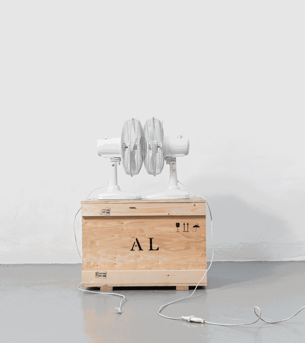 ARIK LEVY MUTUALAIR, 2019