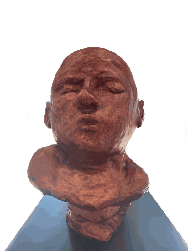 ERDOĞAN ZÜMRÜTOĞLU RETICENT, 2022