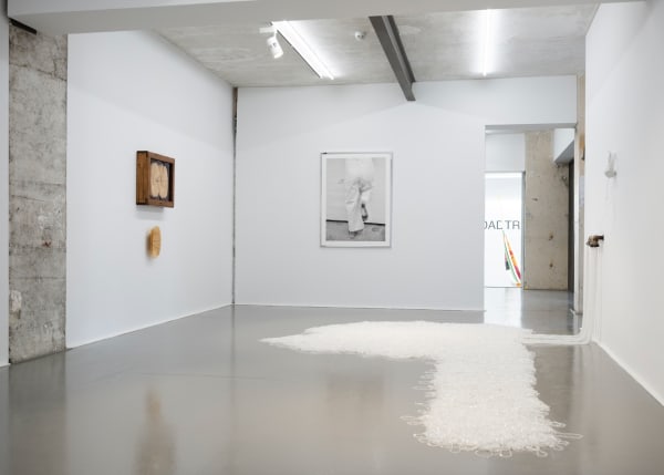 Screen Shot 2024 02 13 At 11 51 46 Am