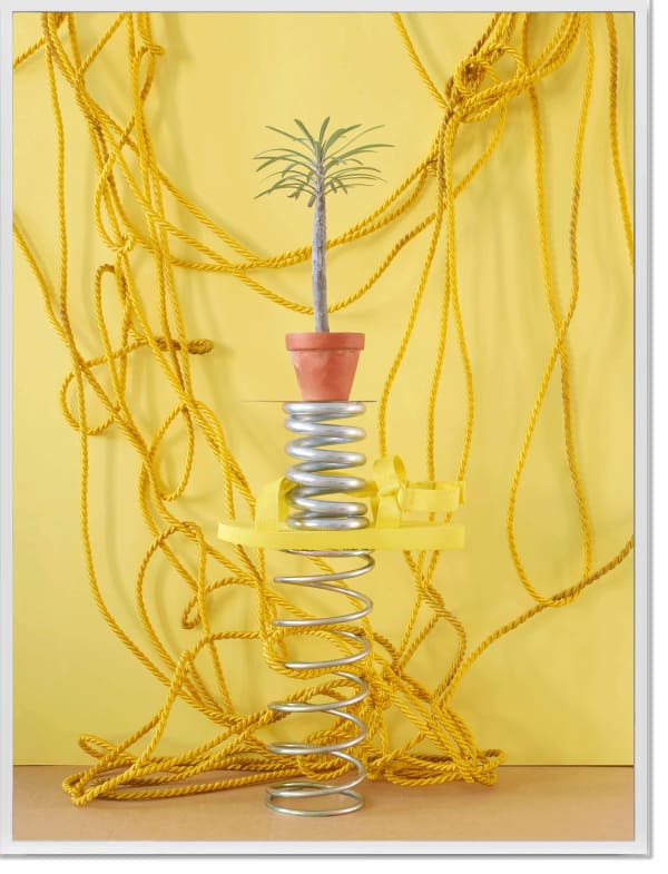 Annette Kelm Makramee Shoe, 2019