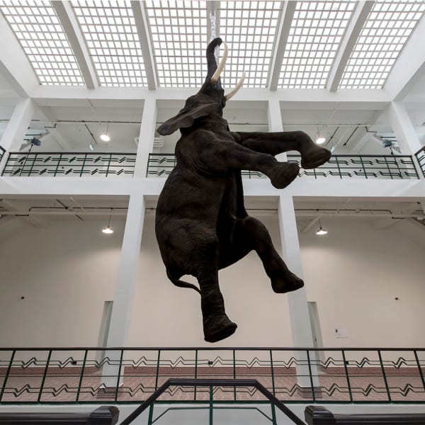 AT THE FACTORY: 10 ARTISTS, 10 INDIVIDUAL PRACTICES PILEVNELI | MECİDİYEKÖY