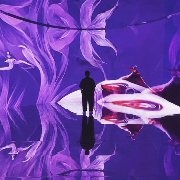 REFİK ANADOL'UN "RUMİ'NİN RÜYALARI" ENSTALASYONU ATATÜRK KÜLTÜR MERKEZİ'NDE