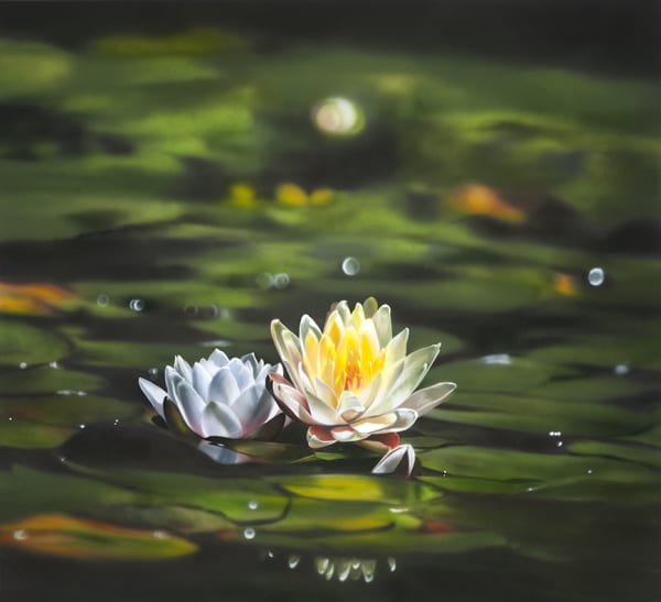 Ben Schonzeit "Water Lily" 112 x 122 cm Acrylic on polyester