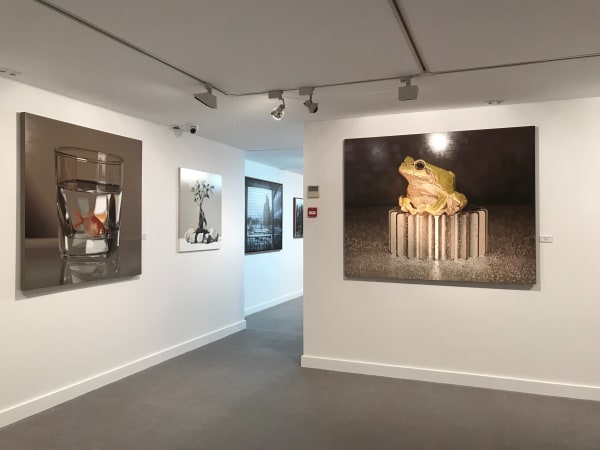 Still Life Andorra Installation V