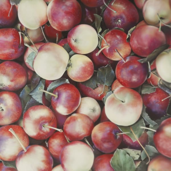 Lady Apples Acrylic on polyester 84 x 84 cm