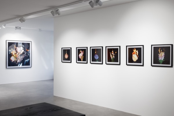 Installation view NYC | MUC | BER : Destionation Murnau with works by Marco Stanke and Michael Ullrich alongside selected paintings of NY-based artist Judy Rifka. PULPO GALLERY 2024.