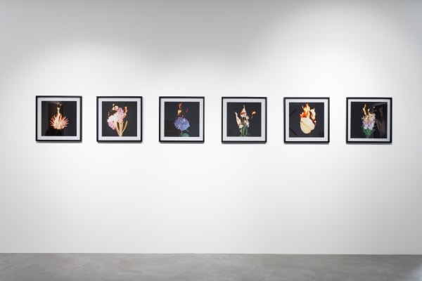 Installation view NYC | MUC | BER : Destionation Murnau with works by Marco Stanke and Michael Ullrich alongside selected paintings of NY-based artist Judy Rifka. PULPO GALLERY 2024.