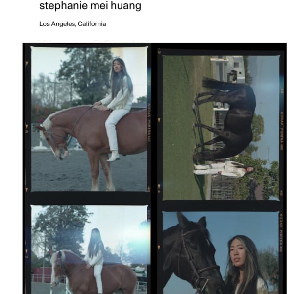 stephanie mei huang interviewed for Artsy editorial