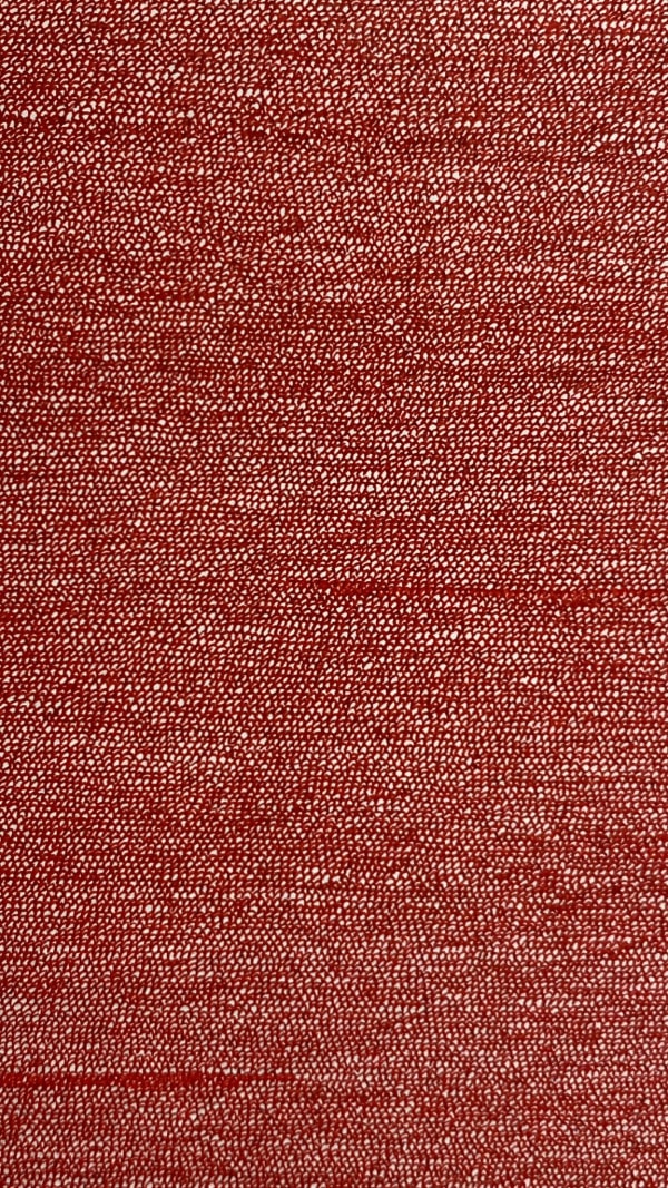 WAQAS KAHN, THE RED MANIFESTATION, 2022