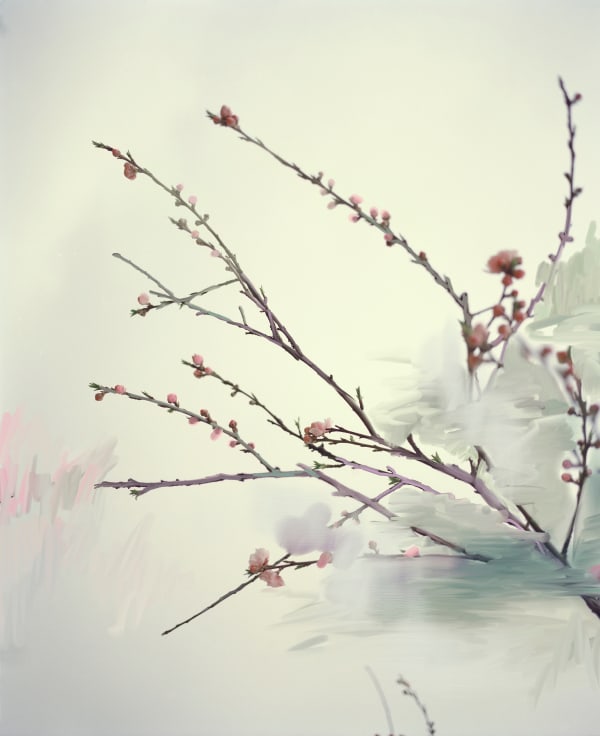 Sandra Kantanen Untitled (Sakura 4), 2014