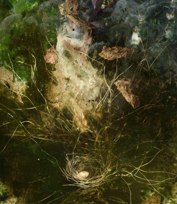 Michael Porter, From the series Vanitas, 10.02.18, 2018