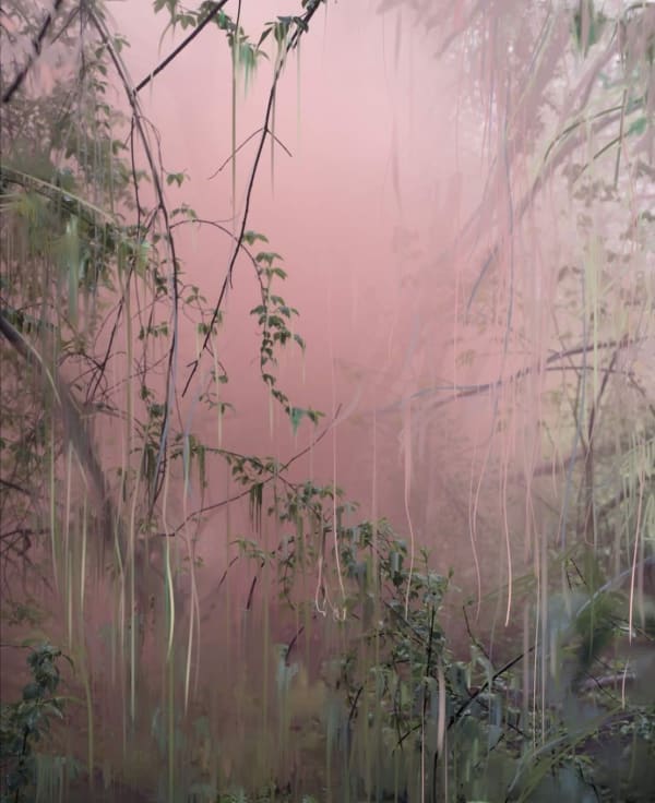 Sandra Kantanen, Forest 18, 2019