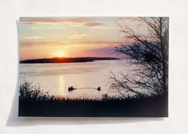 Anni Leppälä, Untitled (Search) , 2013