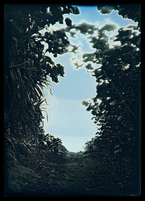 Takashi Arai, Sakieda, Ishigaki, January 13, 2020