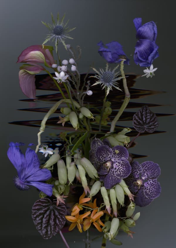 Sandra Kantanen, Distortion 6, 2016