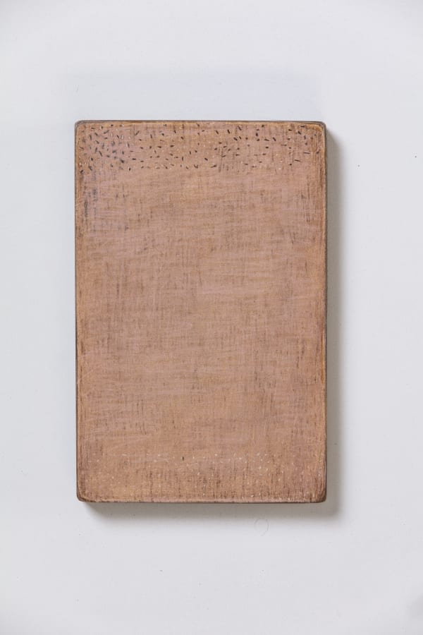 David Quinn, From the series Stookeen, No. 19216, 2021