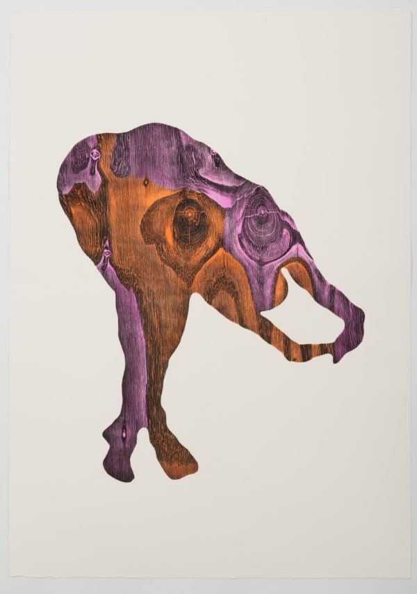 ALICE MAHER: FAIR IS FOUL & FOUL IS FAIR AT THE KATZEN CENTER, AMERICAN UNIVERSITY MUSEUM, WASHINGTON DC