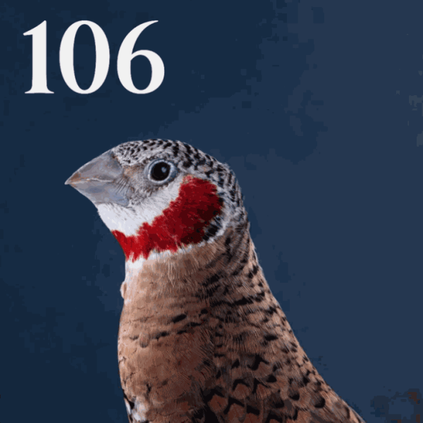 Leila Jeffreys: Photo London Magazine