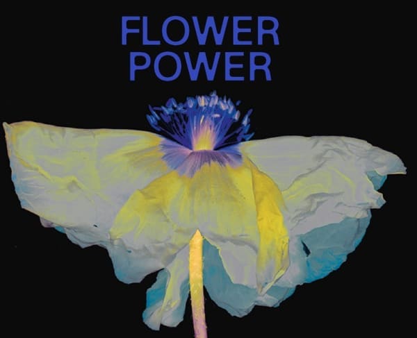 FLOWER POWER