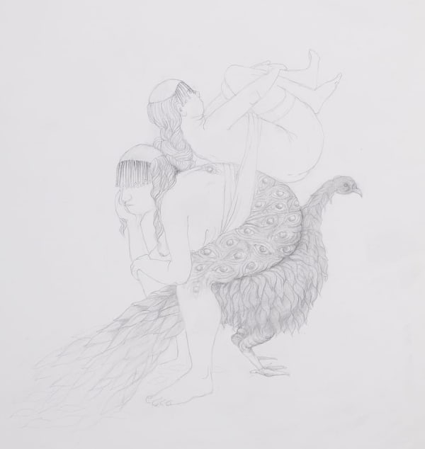 Alice Maher: Musée Jenisch Vevey acquisition