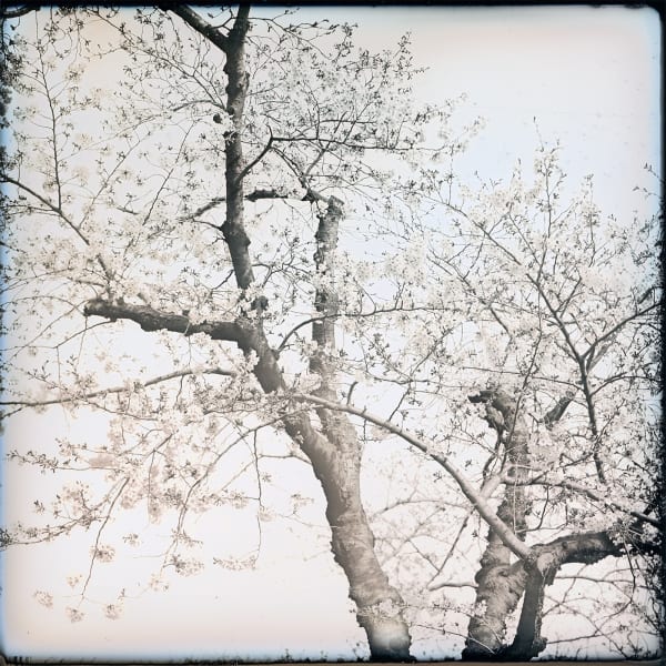 PURDY HICKS GALLERY AT PHOTO LONDON