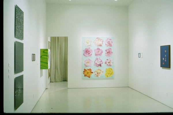 Dan Douke, Bill Feeney, Ryan McGinness, John Pittman and Nancy White | Group Show